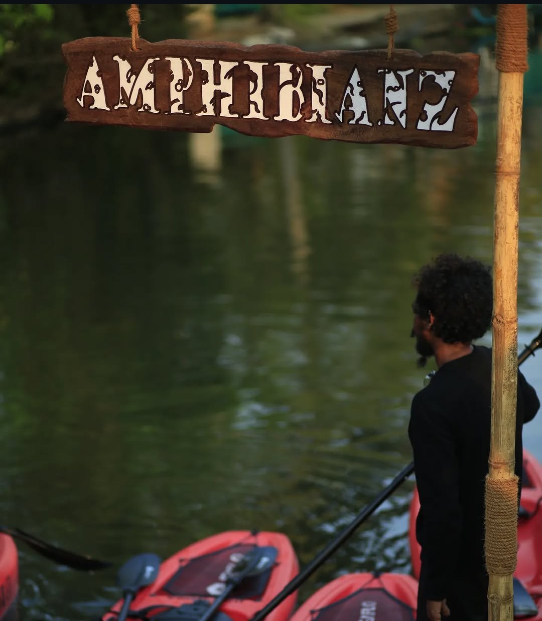 amphibianz 